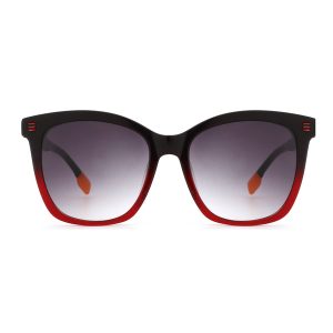 Sun Glasses Ursa
